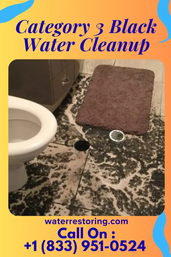 Category 3 Black Water Cleanup in Garden Home-Whitford, OR